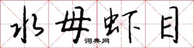 水母虾目怎么写好看