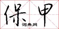 保甲怎么写好看