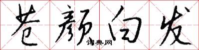 苍颜白发怎么写好看
