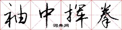 袖中挥拳怎么写好看