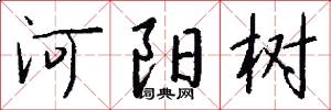 河阳树怎么写好看
