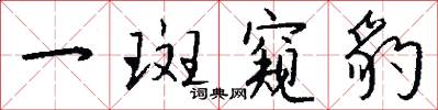 一斑窥豹怎么写好看