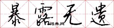 暴露无遗怎么写好看