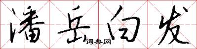 潘岳白发怎么写好看