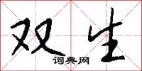 双生怎么写好看