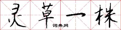 灵草一株怎么写好看
