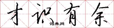 才识有余怎么写好看
