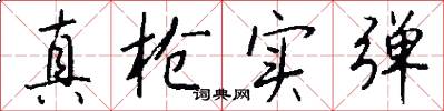 真枪实弹怎么写好看