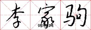 李家驹怎么写好看