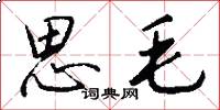 思毛怎么写好看