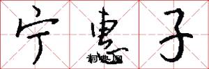 宁惠子怎么写好看