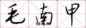 毛南甲怎么写好看