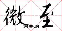 微至怎么写好看