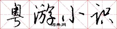 粤游小识怎么写好看