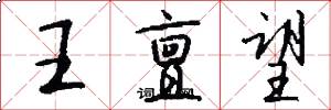 王亶望怎么写好看