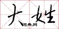 大姓怎么写好看