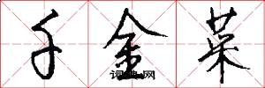 千金菜怎么写好看