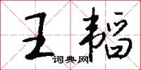 王韬怎么写好看