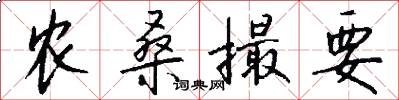 农桑撮要怎么写好看