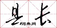 县长怎么写好看