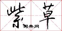 紫草怎么写好看