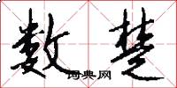 数楚怎么写好看