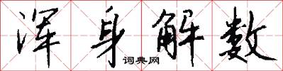 浑身解数怎么写好看