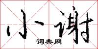 小谢怎么写好看