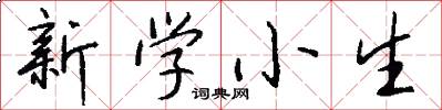 新学小生怎么写好看