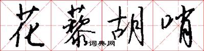 花藜胡哨怎么写好看