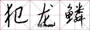 犯龙鳞怎么写好看