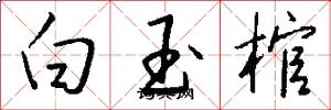 白玉棺怎么写好看