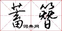 蓄簪怎么写好看