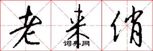 老来俏怎么写好看