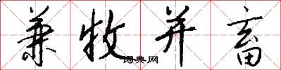 兼收并畜怎么写好看