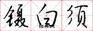 镊白须怎么写好看