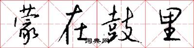 蒙在鼓里怎么写好看