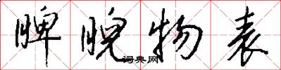 睥睨物表怎么写好看
