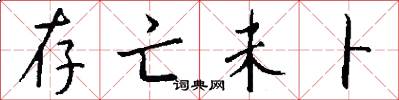 存亡未卜怎么写好看