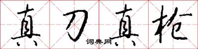 真刀真枪怎么写好看