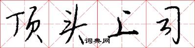 顶头上司怎么写好看