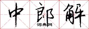 中郎解怎么写好看