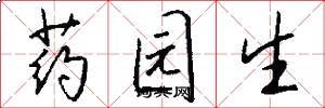 药园生怎么写好看