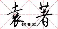 袁著怎么写好看