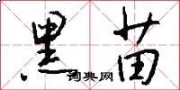 黑苗怎么写好看