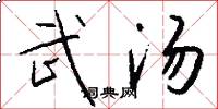武汤怎么写好看