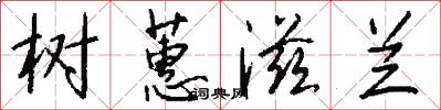 树蕙滋兰怎么写好看