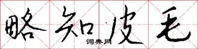 略知皮毛怎么写好看