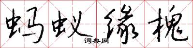 蚂蚁缘槐怎么写好看