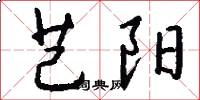 芑阳怎么写好看